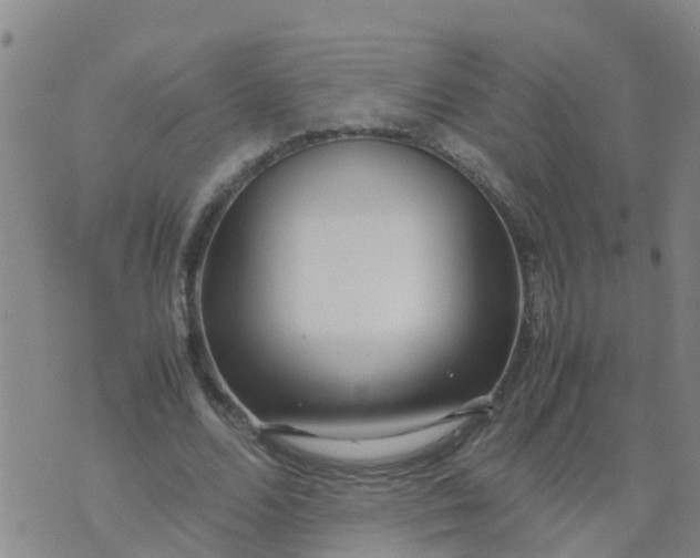 X0000074330680200609082033