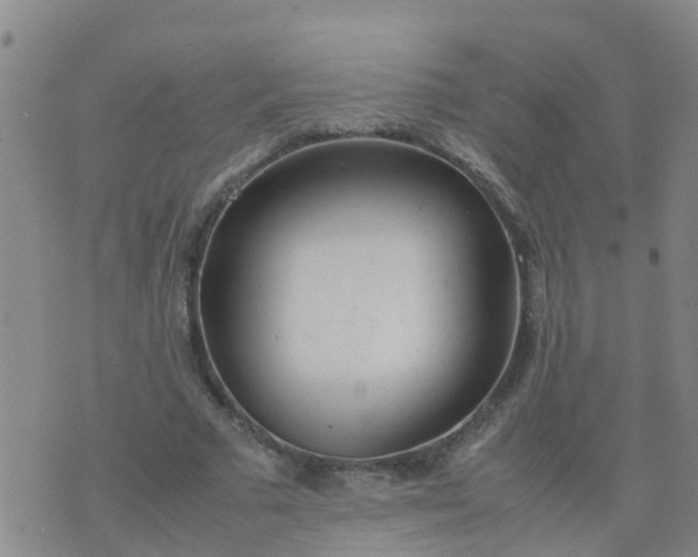 X0000074330681200609082033