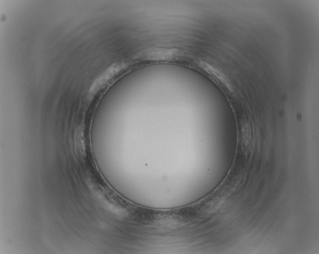 X0000074330682200609082033