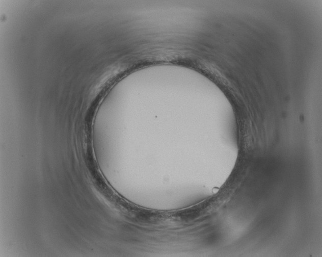 X0000074330683200609082033