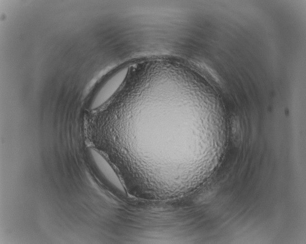 X0000074330684200609082033