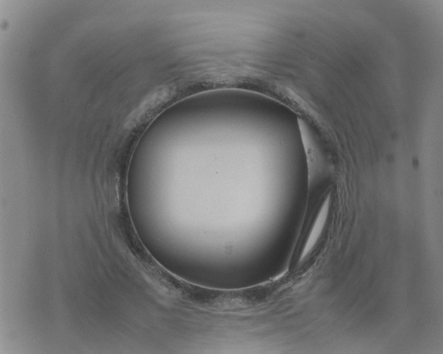 X0000074330685200609082033