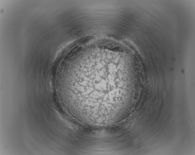 X0000074330688200609082033