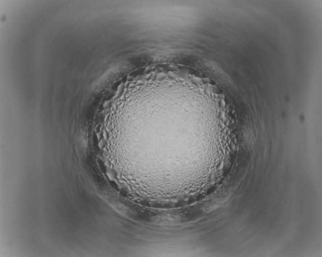 X0000074330691200609082032