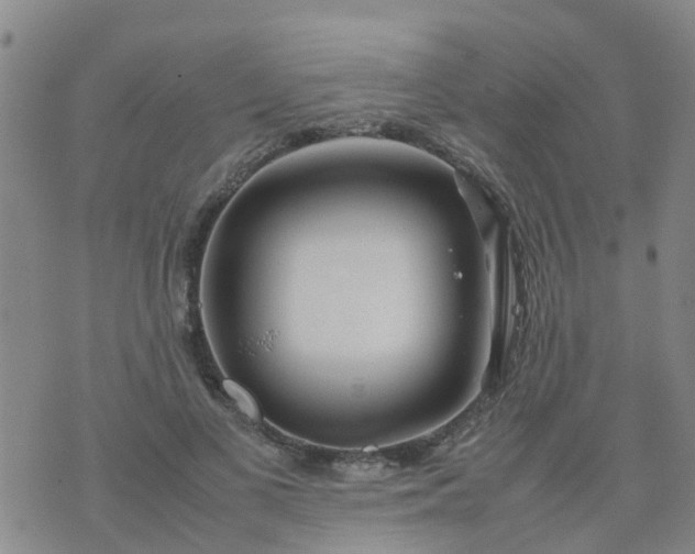 X0000074330693200609082032