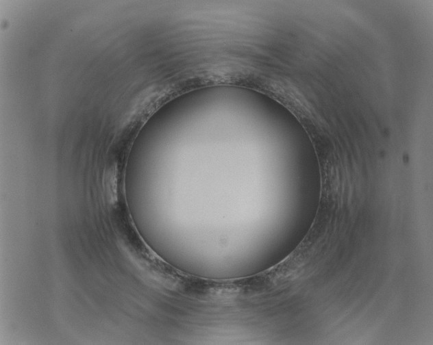 X0000074330694200609082032