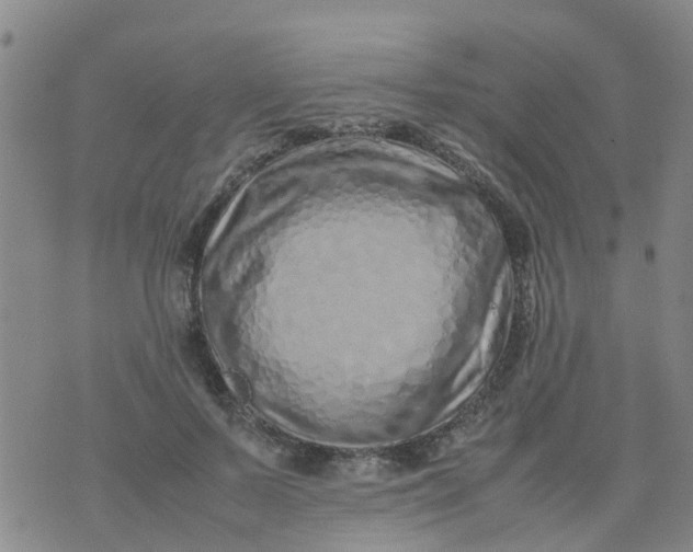 X0000074330695200609082032