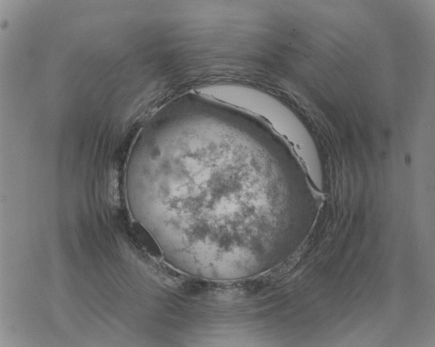 X0000074330696200609082032