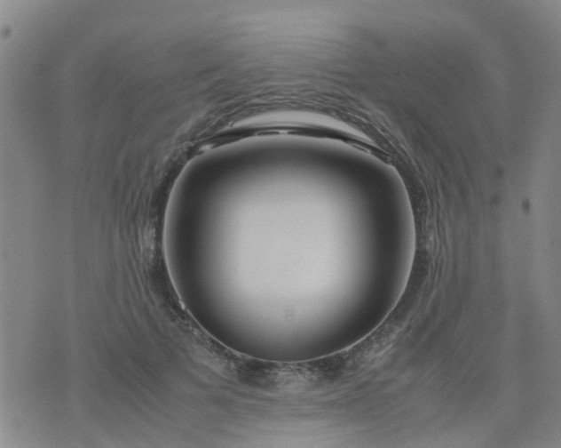 X0000074330697200609082032