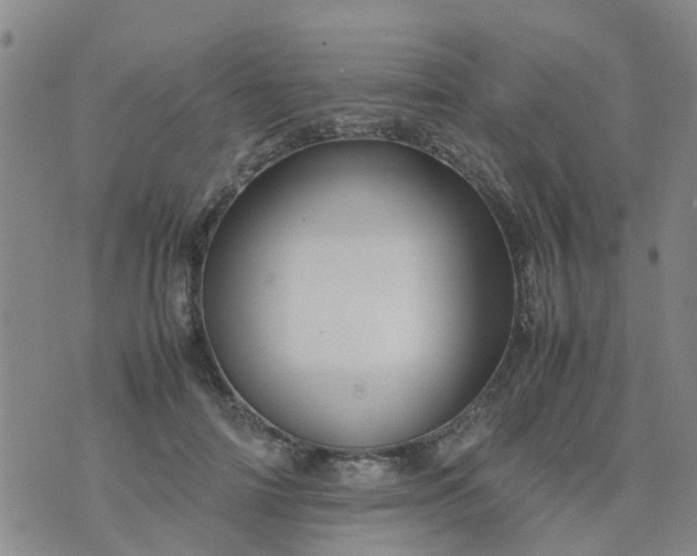 X0000074330698200609082032