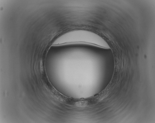 X0000074330700200609082032