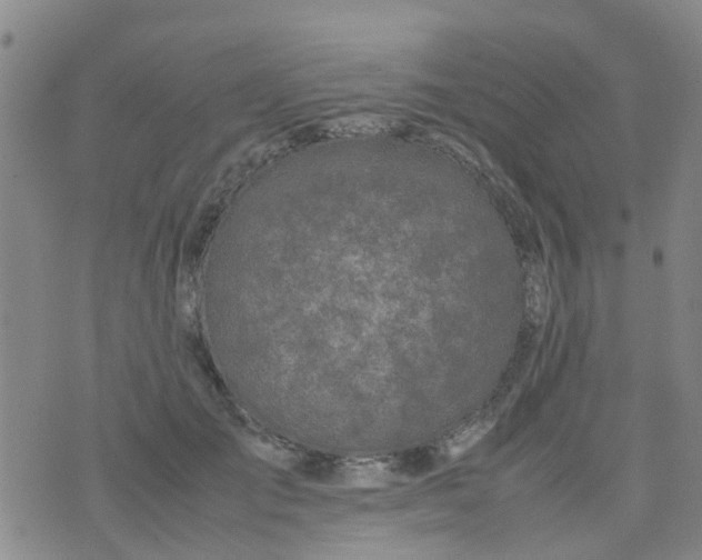 X0000074330701200609082032