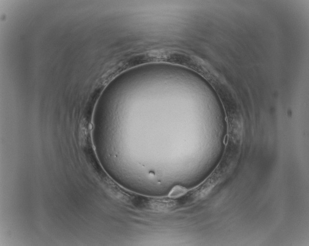 X0000074330707200609082032