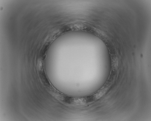 X0000074330709200609082032