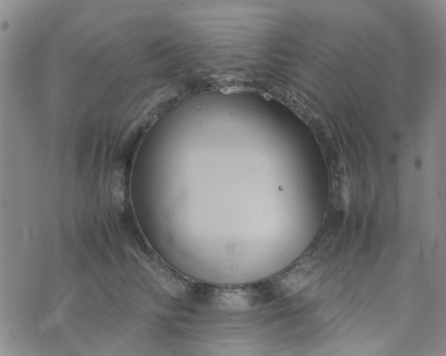 X0000074330710200609082032