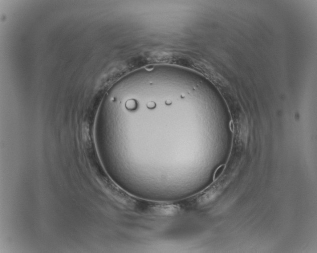 X0000074330711200609082032