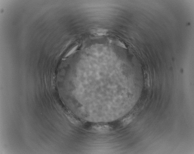 X0000074330712200609082032