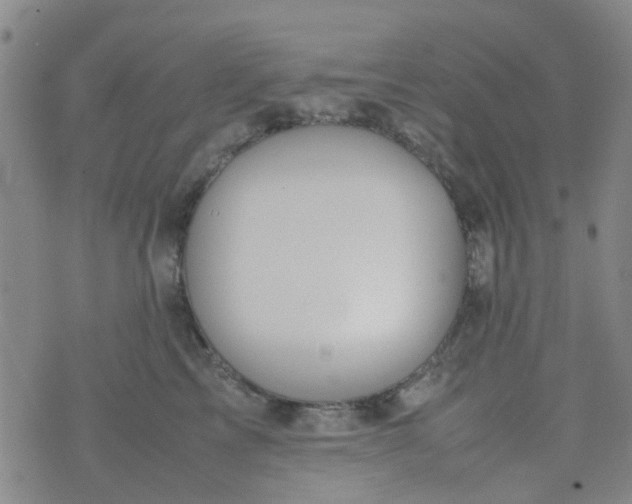 X0000074330713200609082032