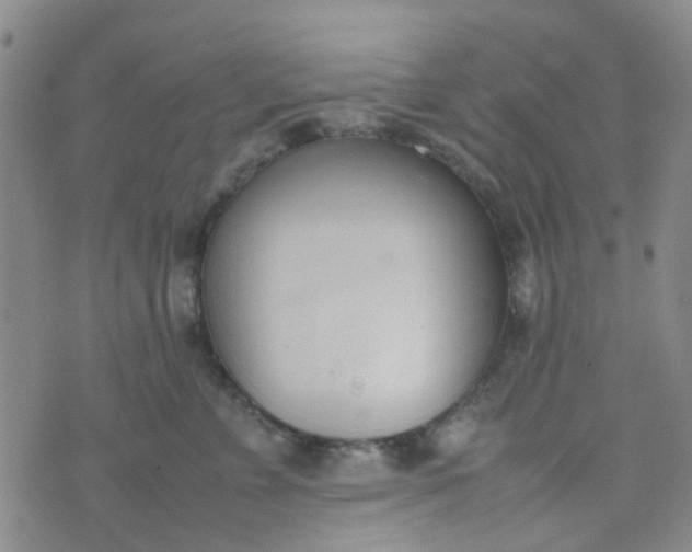 X0000074330715200609082032