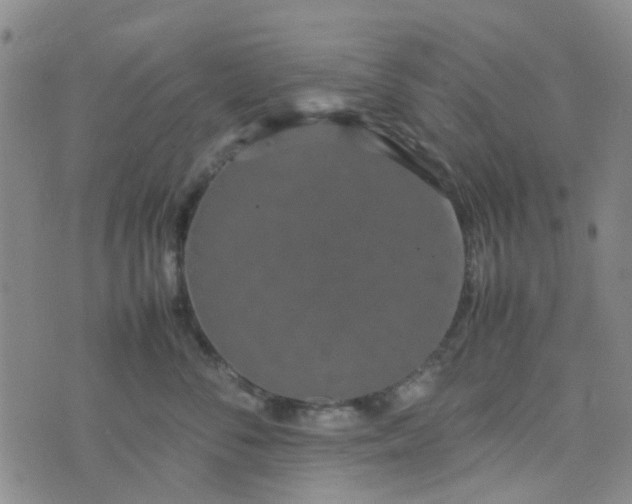 X0000074330716200609082032