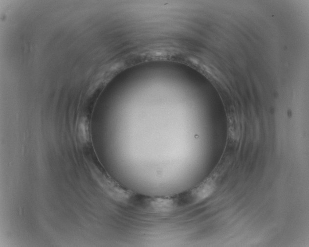 X0000074330718200609082032