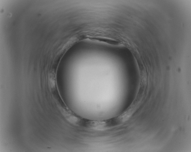 X0000074330719200609082032