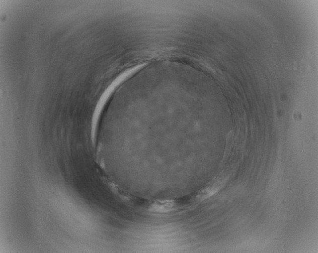 X0000074330720200609082032