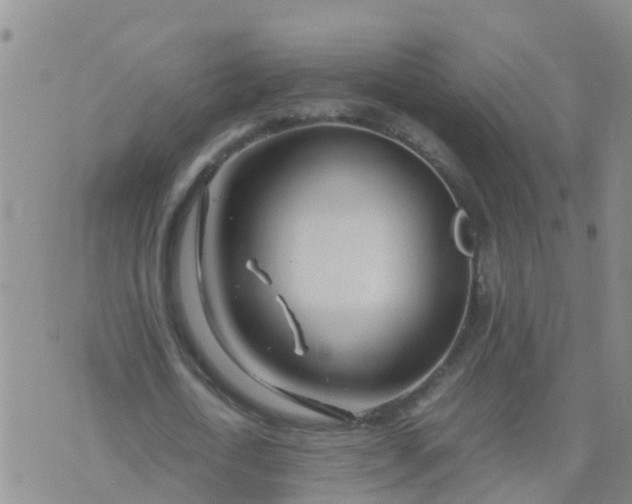 X0000074330722200609082031