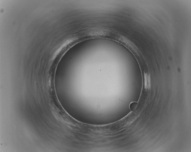 X0000074330723200609082031