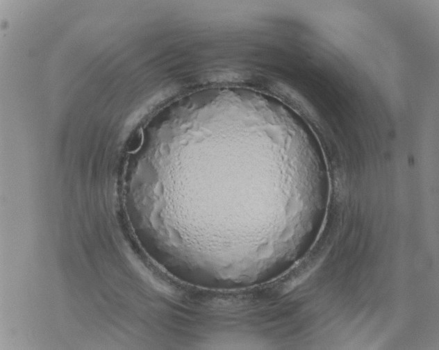 X0000074330725200609082031