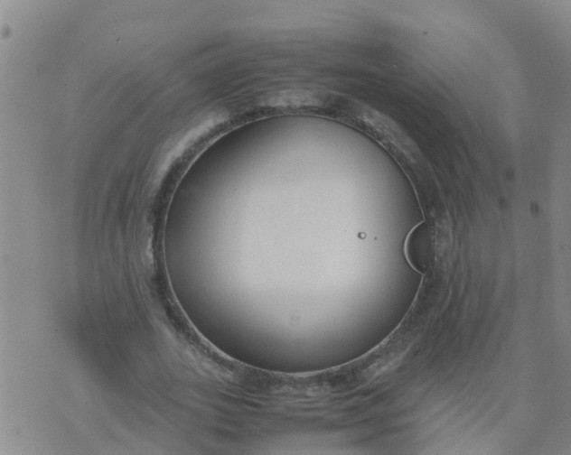 X0000074330727200609082031