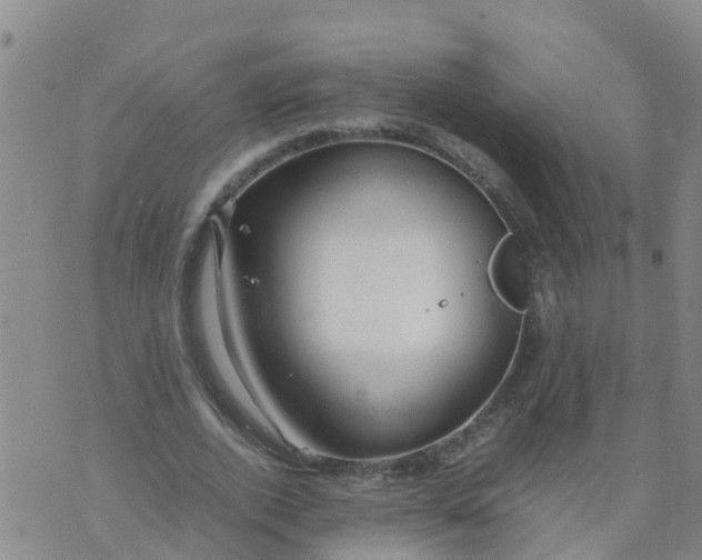 X0000074330728200609082031