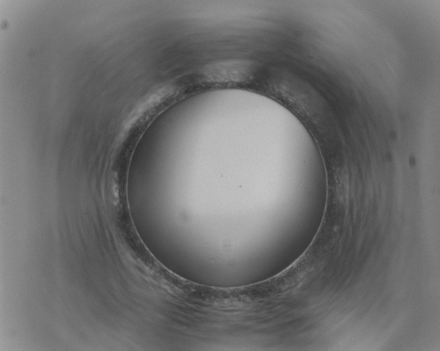 X0000074330731200609082031