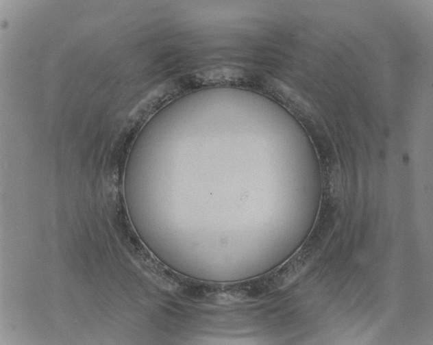 X0000074330737200609082031