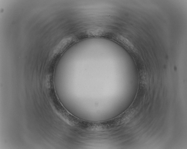 X0000074330738200609082031