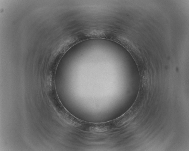 X0000074330739200609082031