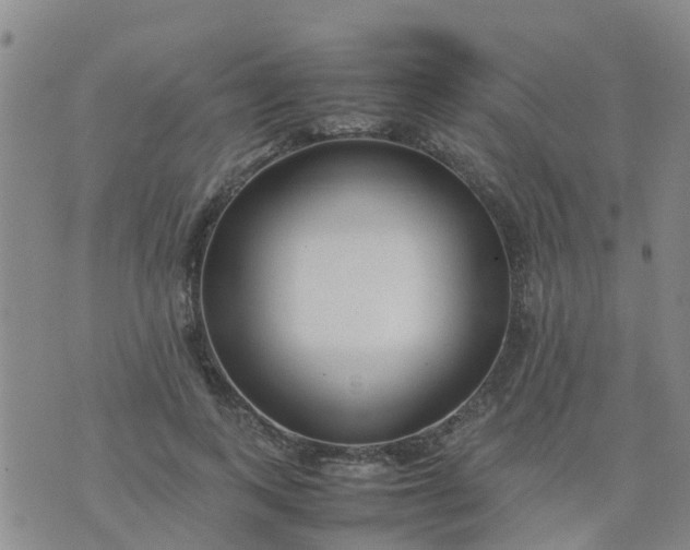 X0000074330743200609082032