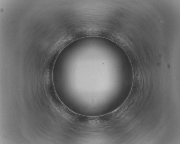 X0000074330744200609082032