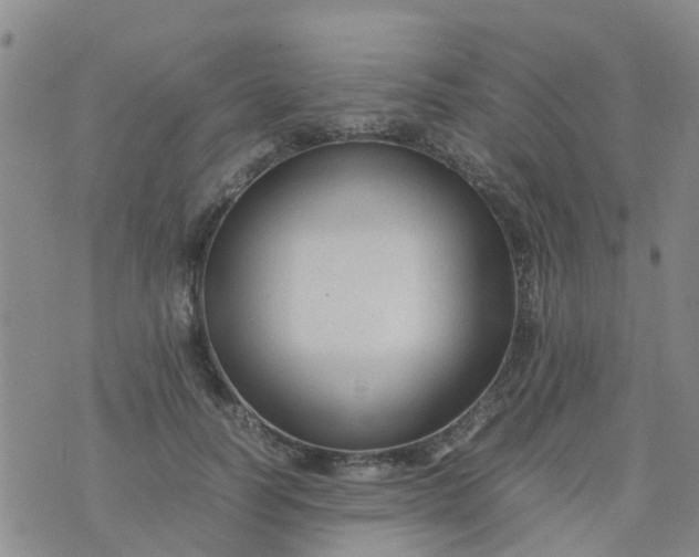 X0000074330746200609082032