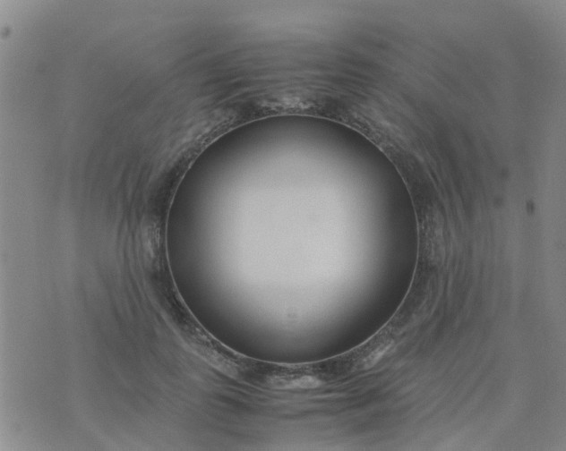 X0000074330747200609082032