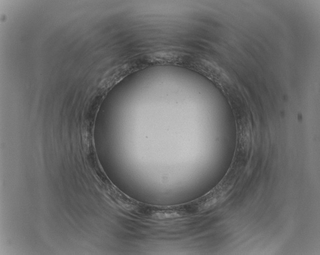 X0000074330749200609082032