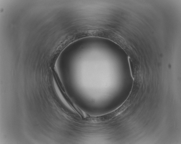 X0000074330750200609082032