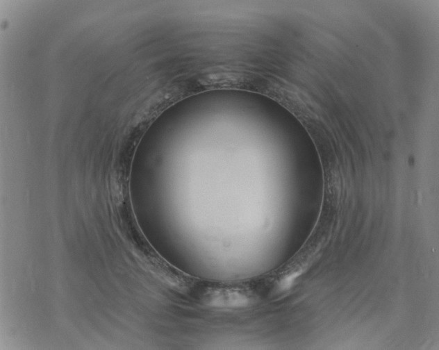 X0000074330751200609082032