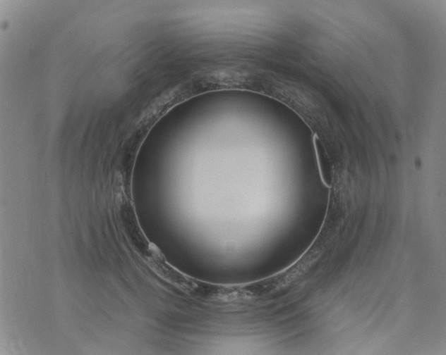 X0000074330752200609082032