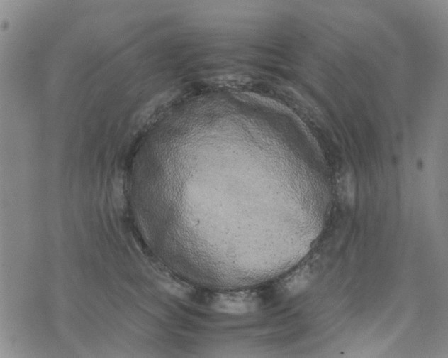 X0000074330757200609082032