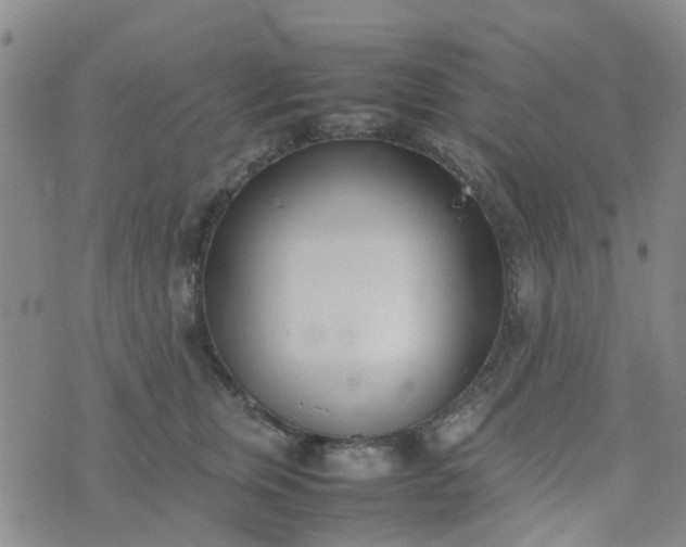 X0000074330759200609082032