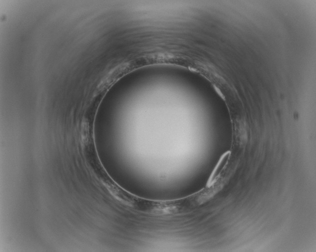 X0000074330760200609082032