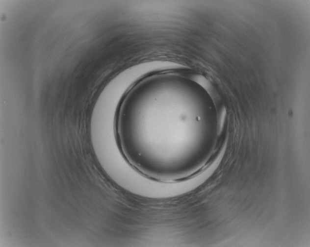 X0000074330762200609082032