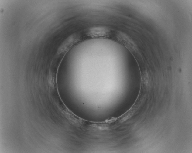 X0000074330763200609082032