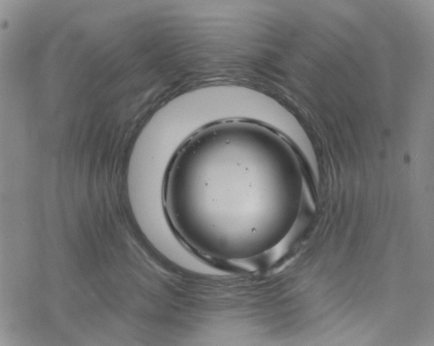 X0000074330764200609082032